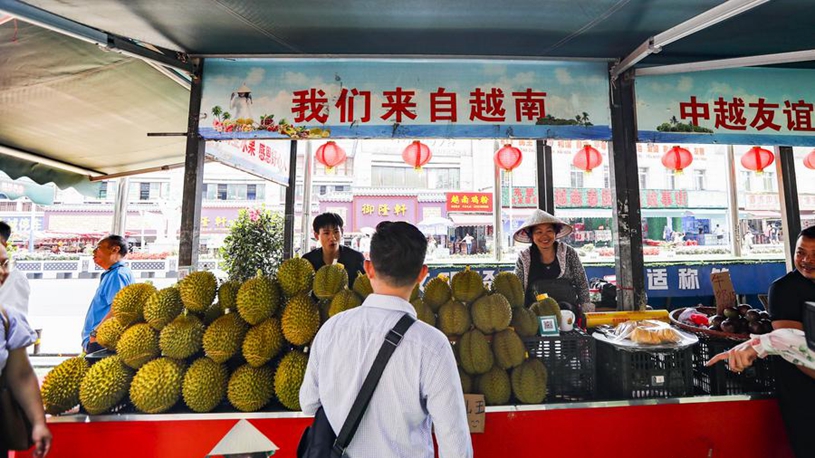凯恩与萨拉