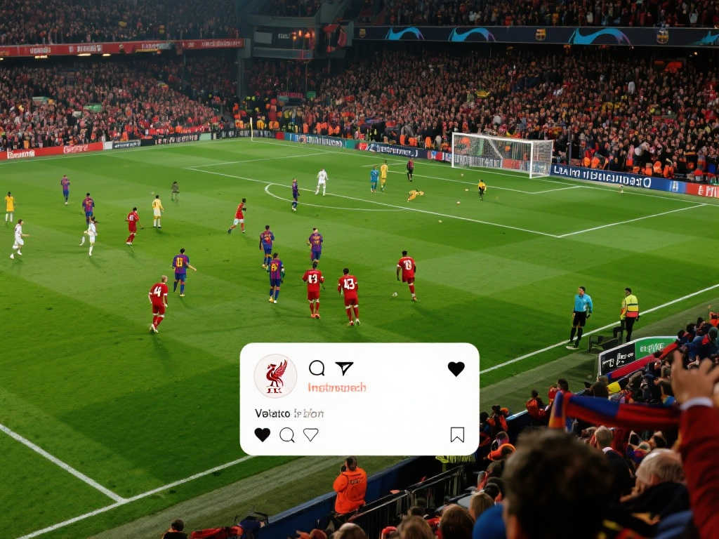 这使他们能 这使他们能